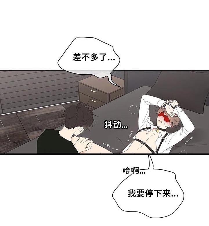 《主人的私情》漫画最新章节第66话免费下拉式在线观看章节第【10】张图片