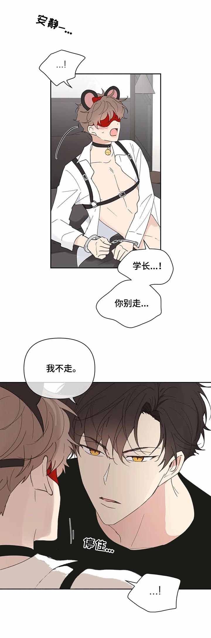 《主人的私情》漫画最新章节第66话免费下拉式在线观看章节第【17】张图片