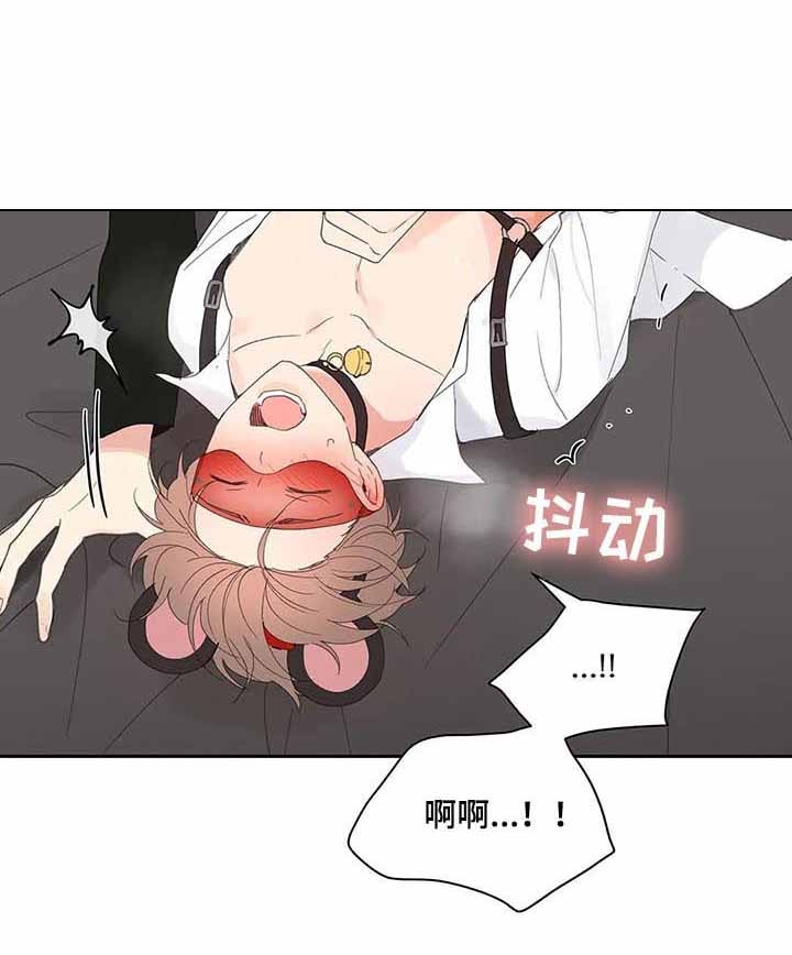 《主人的私情》漫画最新章节第67话免费下拉式在线观看章节第【4】张图片