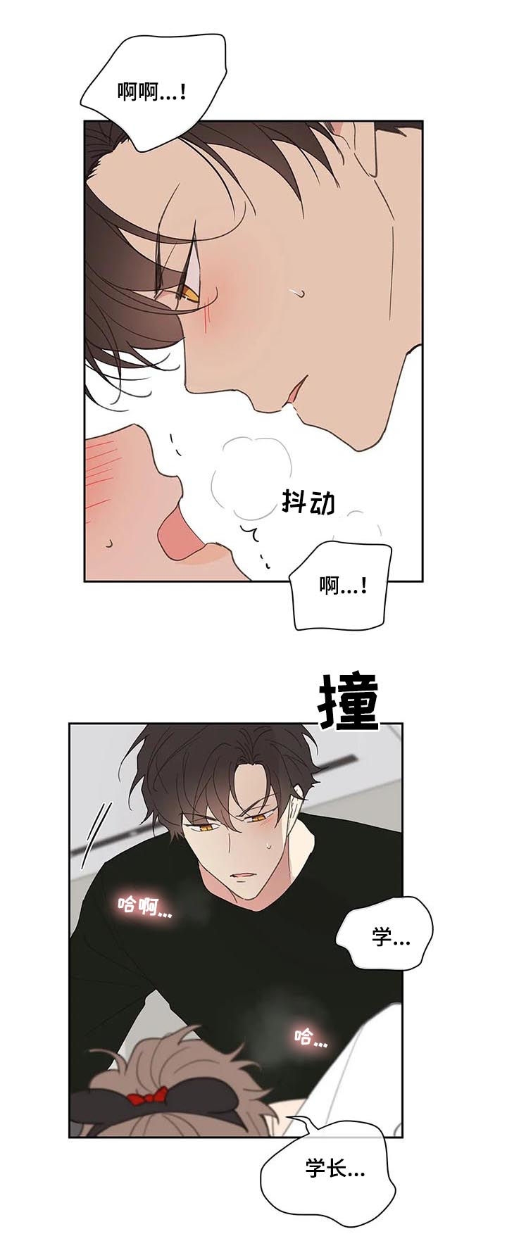 《主人的私情》漫画最新章节第67话免费下拉式在线观看章节第【13】张图片