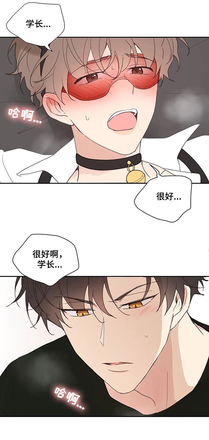 《主人的私情》漫画最新章节第67话免费下拉式在线观看章节第【12】张图片