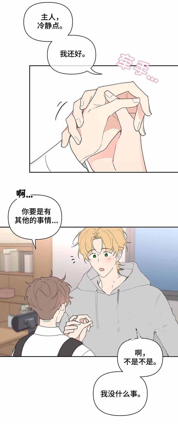 《主人的私情》漫画最新章节第69话免费下拉式在线观看章节第【7】张图片