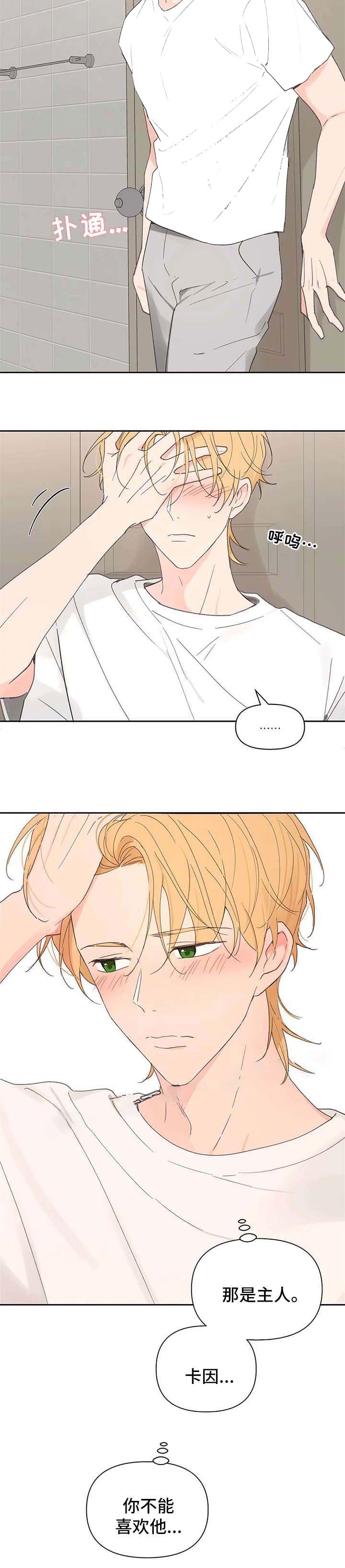 《主人的私情》漫画最新章节第88话免费下拉式在线观看章节第【8】张图片