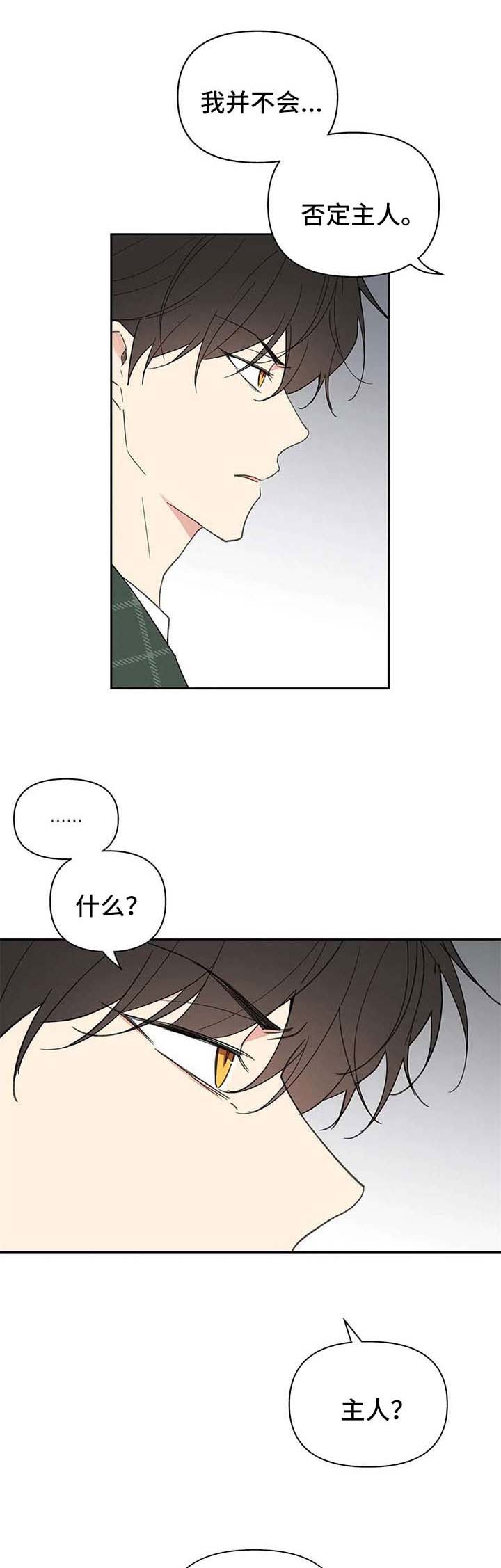 《主人的私情》漫画最新章节第93话免费下拉式在线观看章节第【11】张图片