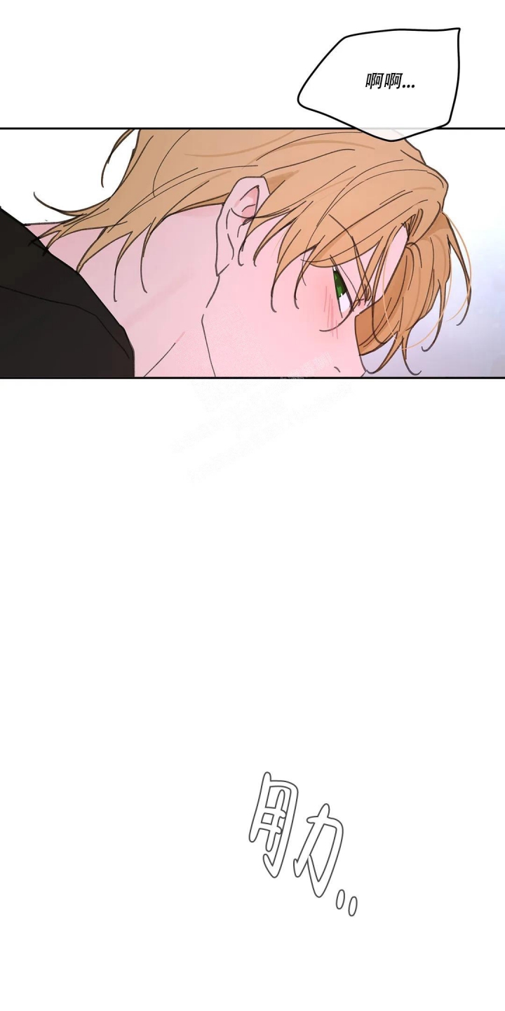 《主人的私情》漫画最新章节第140话免费下拉式在线观看章节第【3】张图片