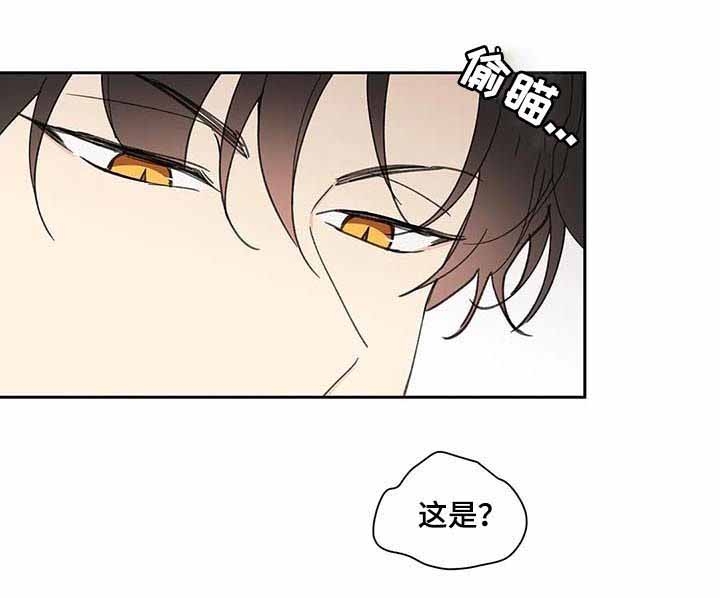 《主人的私情》漫画最新章节第66话免费下拉式在线观看章节第【12】张图片