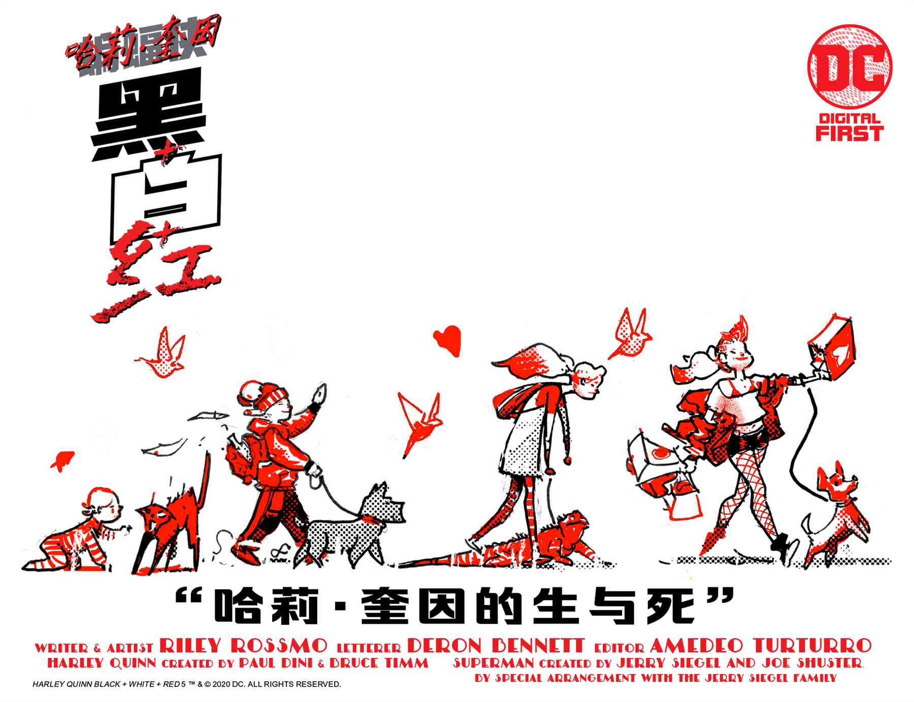 《哈莉·奎因：黑白红》漫画最新章节第5话免费下拉式在线观看章节第【3】张图片