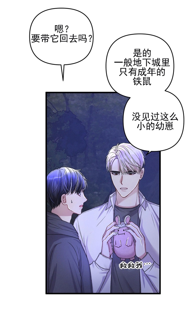 《不起眼向导的平凡日常》漫画最新章节第30话免费下拉式在线观看章节第【5】张图片