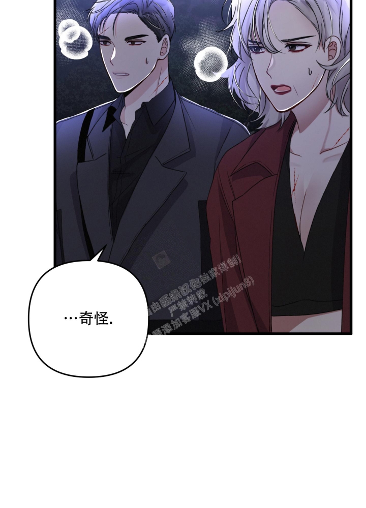 《不起眼向导的平凡日常》漫画最新章节第68话免费下拉式在线观看章节第【43】张图片