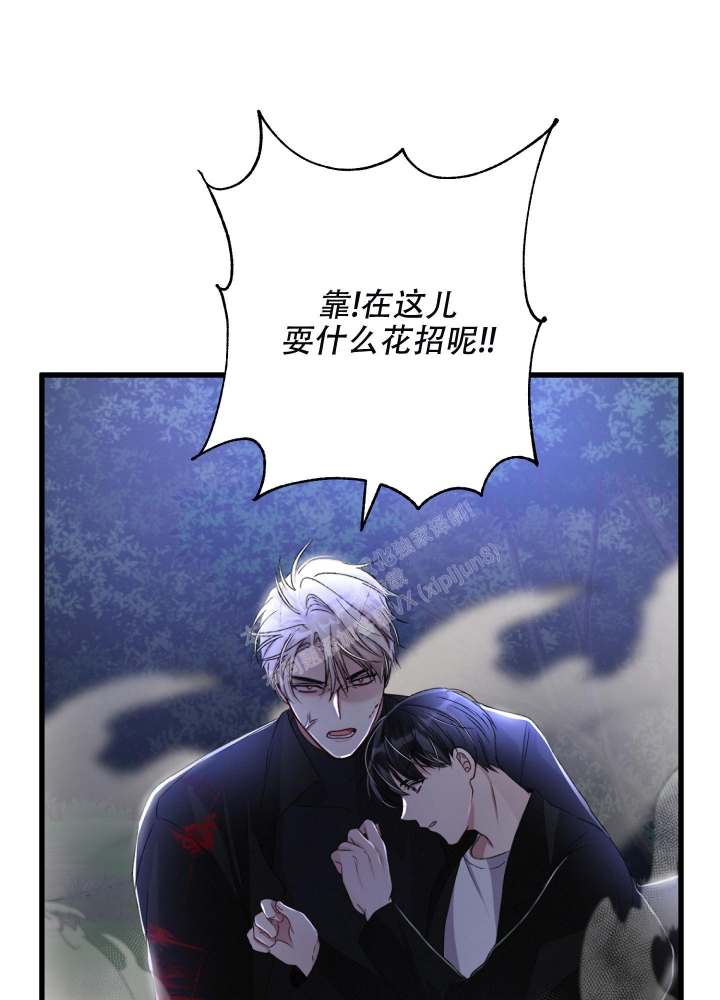 《不起眼向导的平凡日常》漫画最新章节第70话免费下拉式在线观看章节第【41】张图片