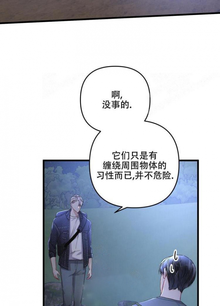 《不起眼向导的平凡日常》漫画最新章节第44话免费下拉式在线观看章节第【28】张图片