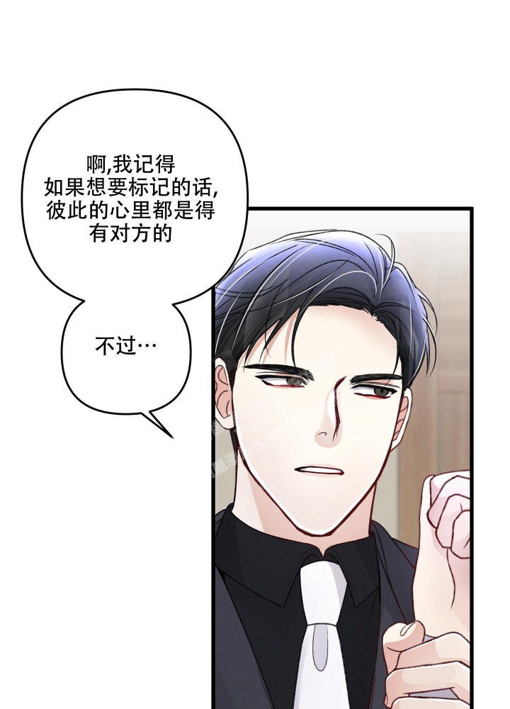 《不起眼向导的平凡日常》漫画最新章节第85话免费下拉式在线观看章节第【29】张图片