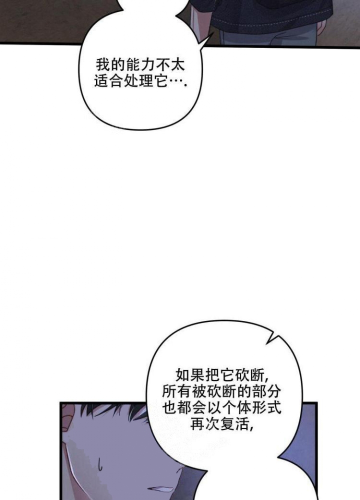 《不起眼向导的平凡日常》漫画最新章节第44话免费下拉式在线观看章节第【33】张图片