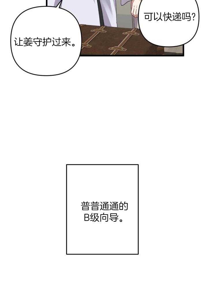 《不起眼向导的平凡日常》漫画最新章节第130话免费下拉式在线观看章节第【37】张图片