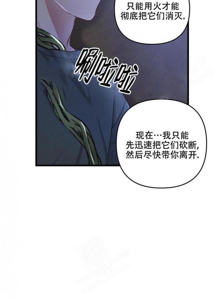 《不起眼向导的平凡日常》漫画最新章节第44话免费下拉式在线观看章节第【34】张图片