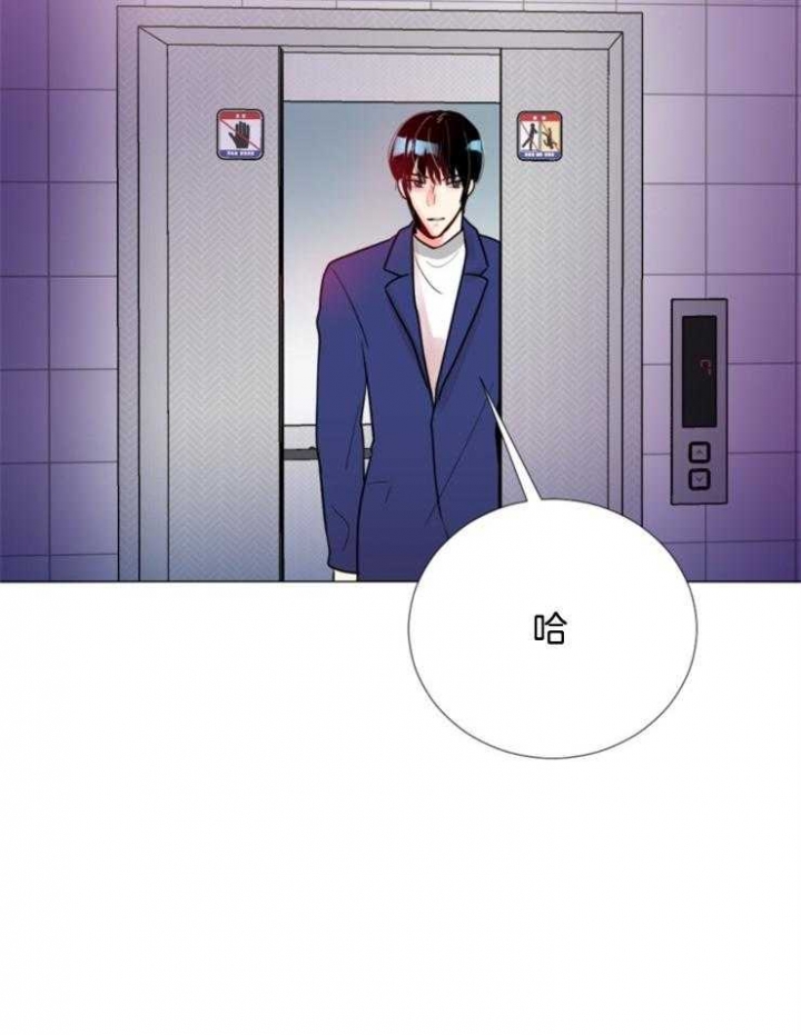 《万人迷的小透明》漫画最新章节第84话免费下拉式在线观看章节第【3】张图片
