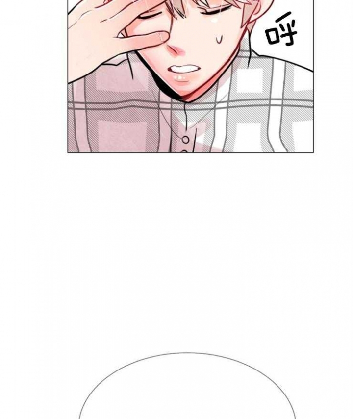 《万人迷的小透明》漫画最新章节第79话免费下拉式在线观看章节第【3】张图片