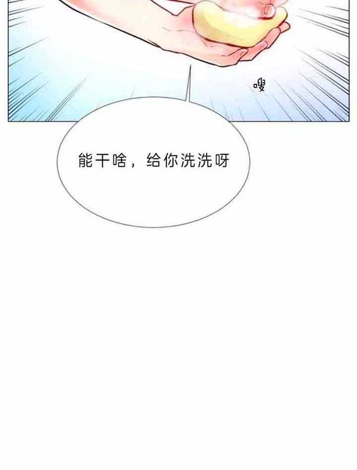 《万人迷的小透明》漫画最新章节第67话免费下拉式在线观看章节第【16】张图片