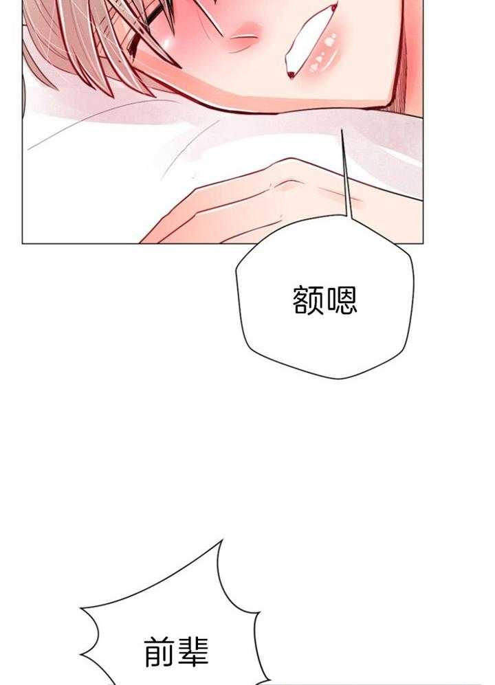 《万人迷的小透明》漫画最新章节第63话免费下拉式在线观看章节第【3】张图片