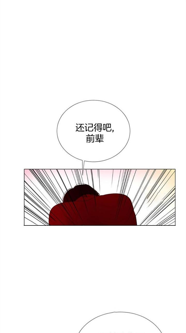 《万人迷的小透明》漫画最新章节第45话免费下拉式在线观看章节第【15】张图片