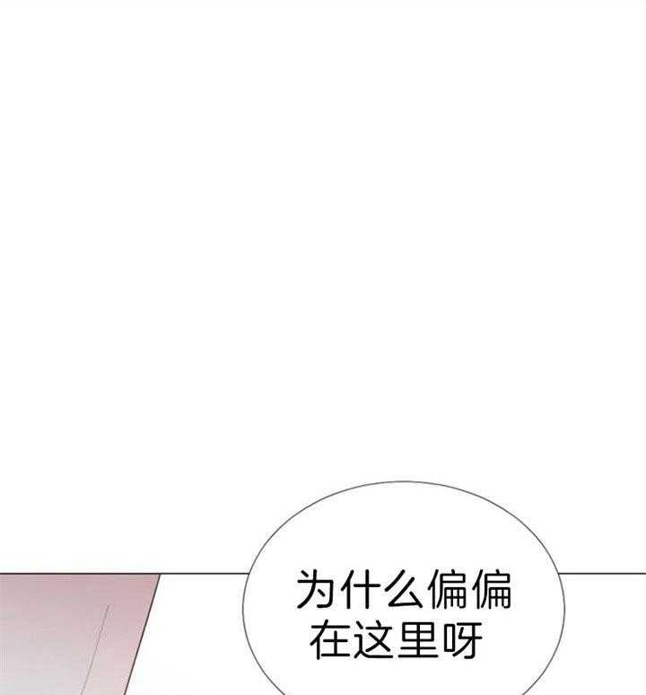 《万人迷的小透明》漫画最新章节第53话免费下拉式在线观看章节第【31】张图片