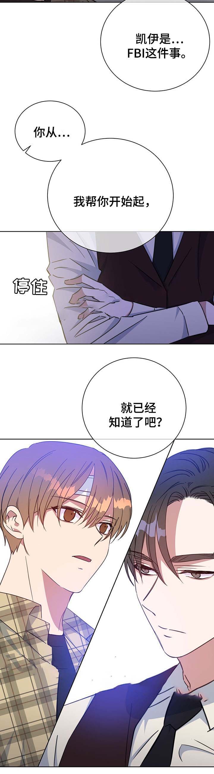 《五月交易》漫画最新章节第77话免费下拉式在线观看章节第【6】张图片