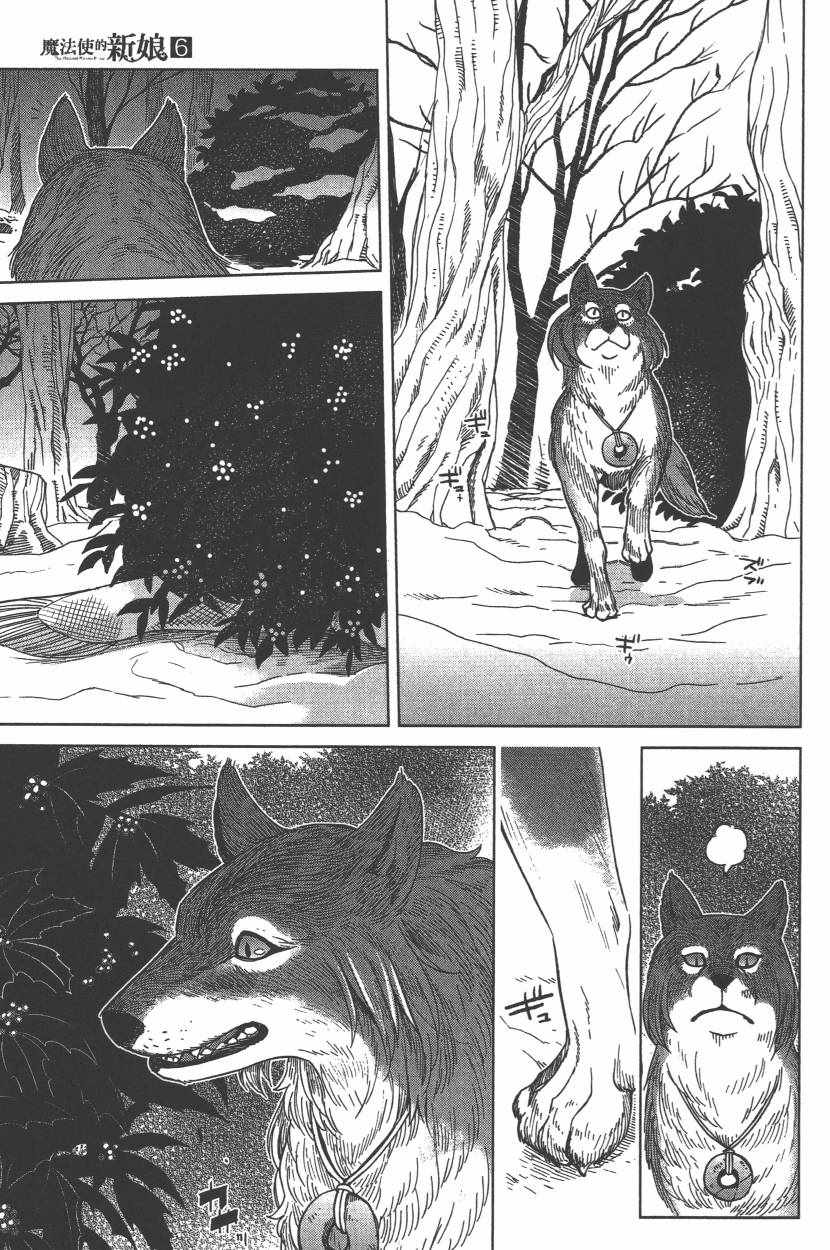 《魔法使之嫁》漫画最新章节第6卷免费下拉式在线观看章节第【178】张图片