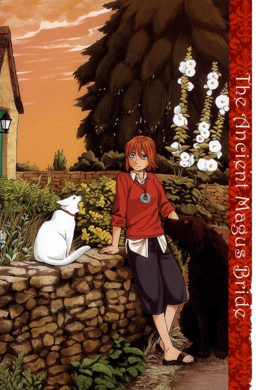 《魔法使之嫁》漫画最新章节第8卷免费下拉式在线观看章节第【3】张图片