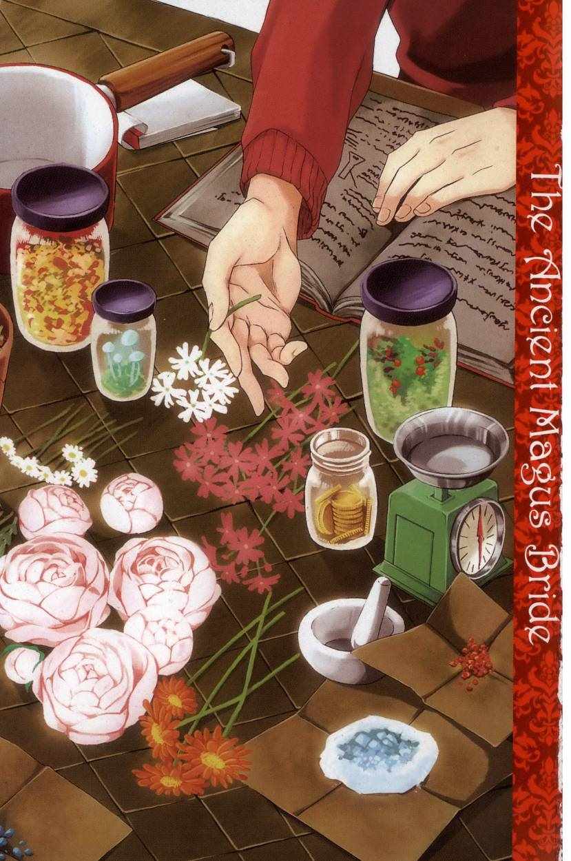 《魔法使之嫁》漫画最新章节第5卷免费下拉式在线观看章节第【4】张图片