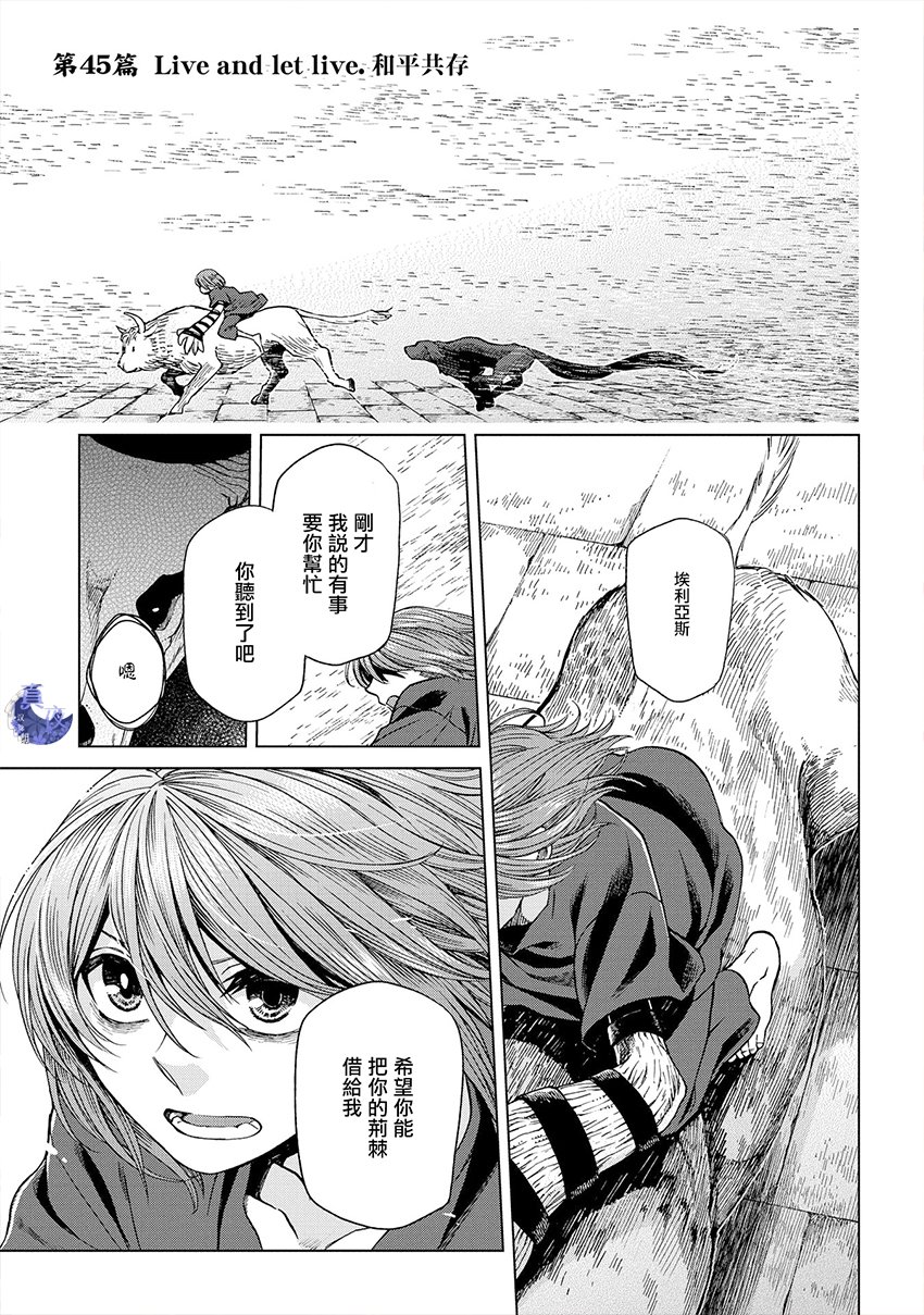 《魔法使之嫁》漫画最新章节第45话免费下拉式在线观看章节第【2】张图片