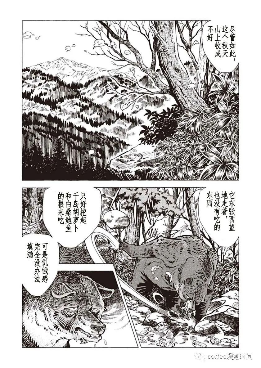 《野性传说 熊风》漫画最新章节第1话免费下拉式在线观看章节第【36】张图片