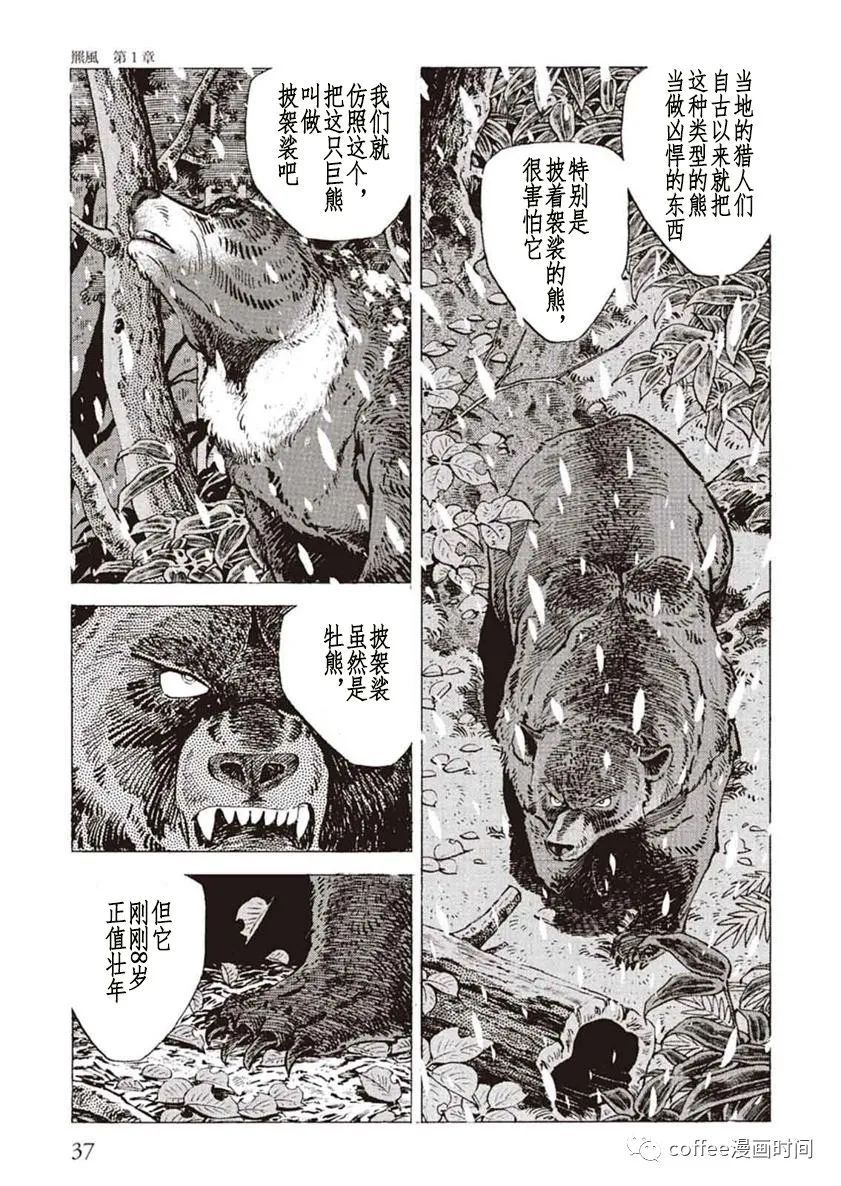 《野性传说 熊风》漫画最新章节第1话免费下拉式在线观看章节第【35】张图片