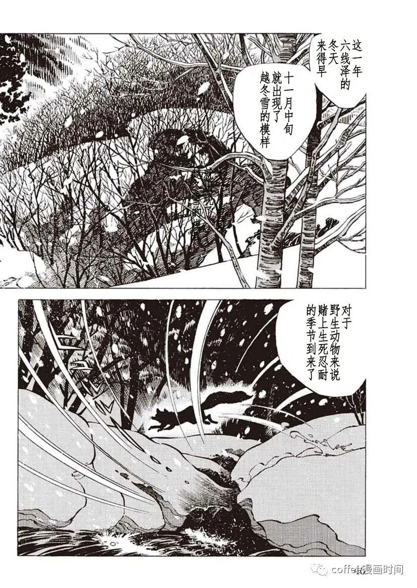 《野性传说 熊风》漫画最新章节第1话免费下拉式在线观看章节第【44】张图片