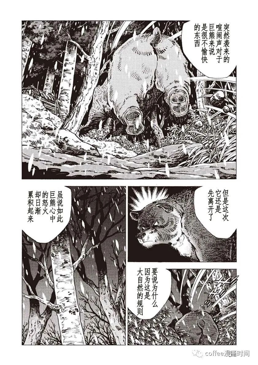 《野性传说 熊风》漫画最新章节第1话免费下拉式在线观看章节第【32】张图片