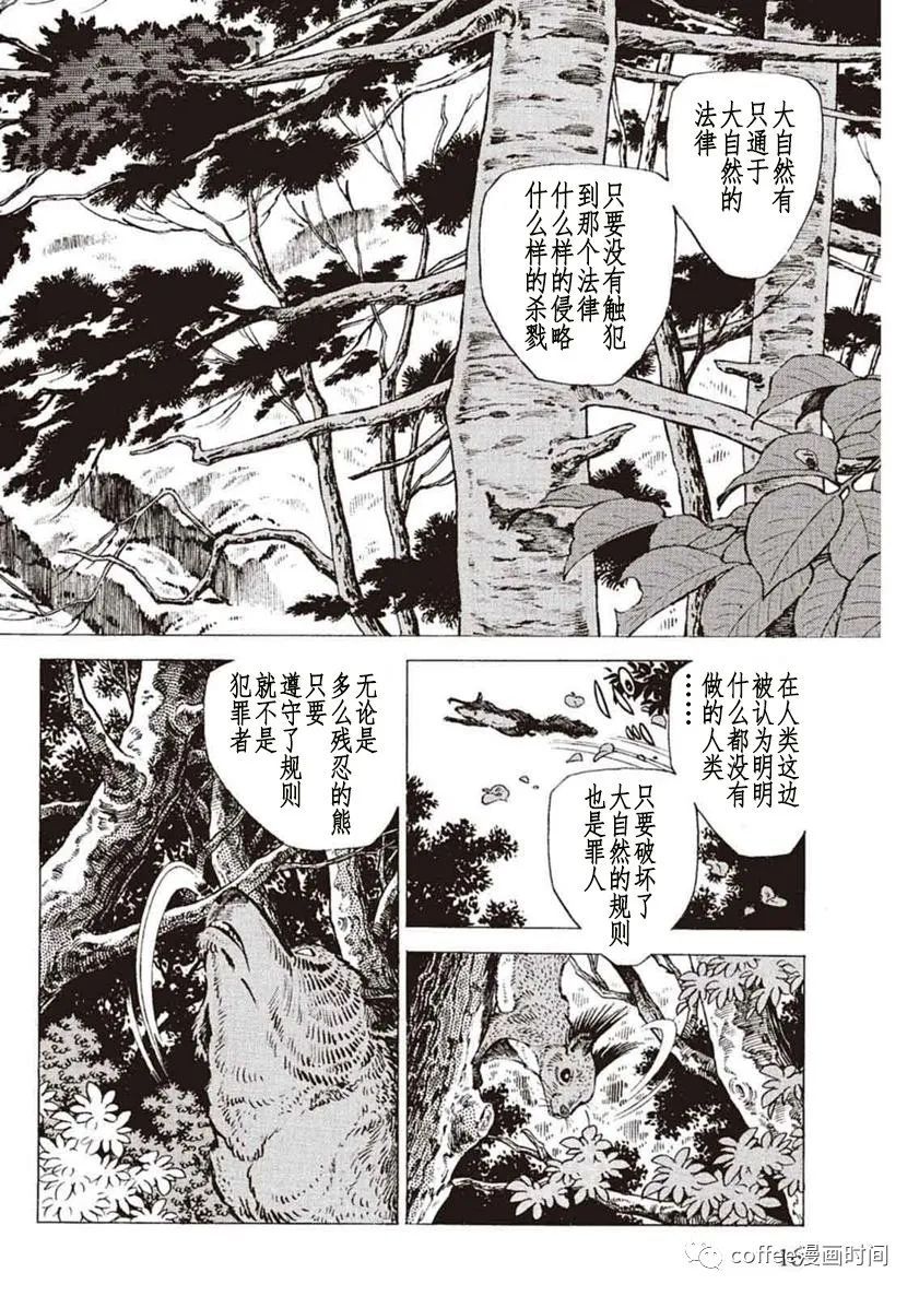 《野性传说 熊风》漫画最新章节第1话免费下拉式在线观看章节第【14】张图片