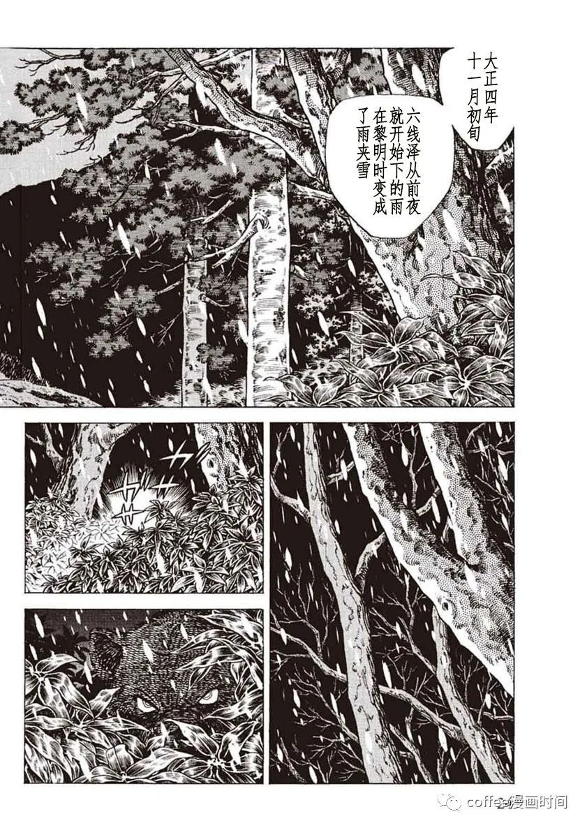 《野性传说 熊风》漫画最新章节第1话免费下拉式在线观看章节第【22】张图片