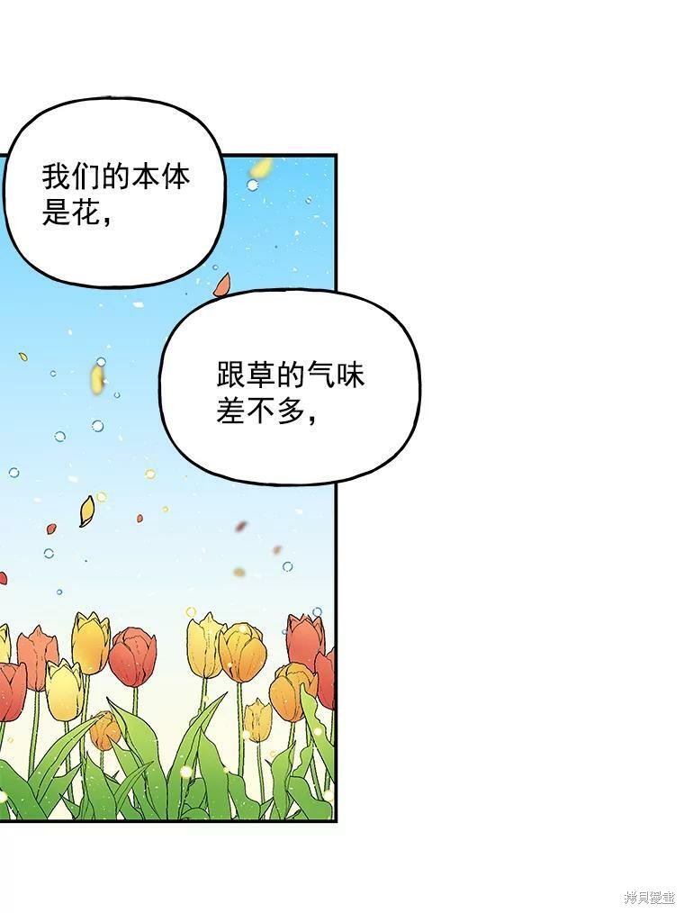 《大魔法师的女儿》漫画最新章节第35话免费下拉式在线观看章节第【31】张图片