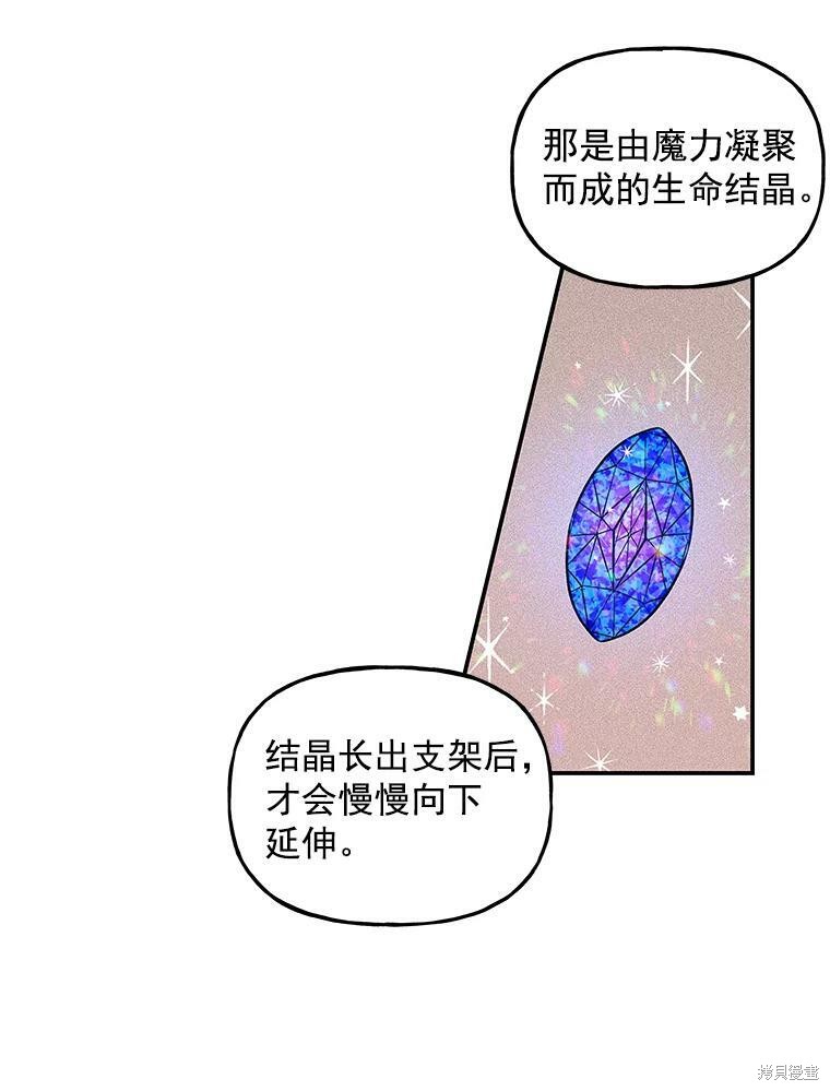 《大魔法师的女儿》漫画最新章节第22话免费下拉式在线观看章节第【40】张图片