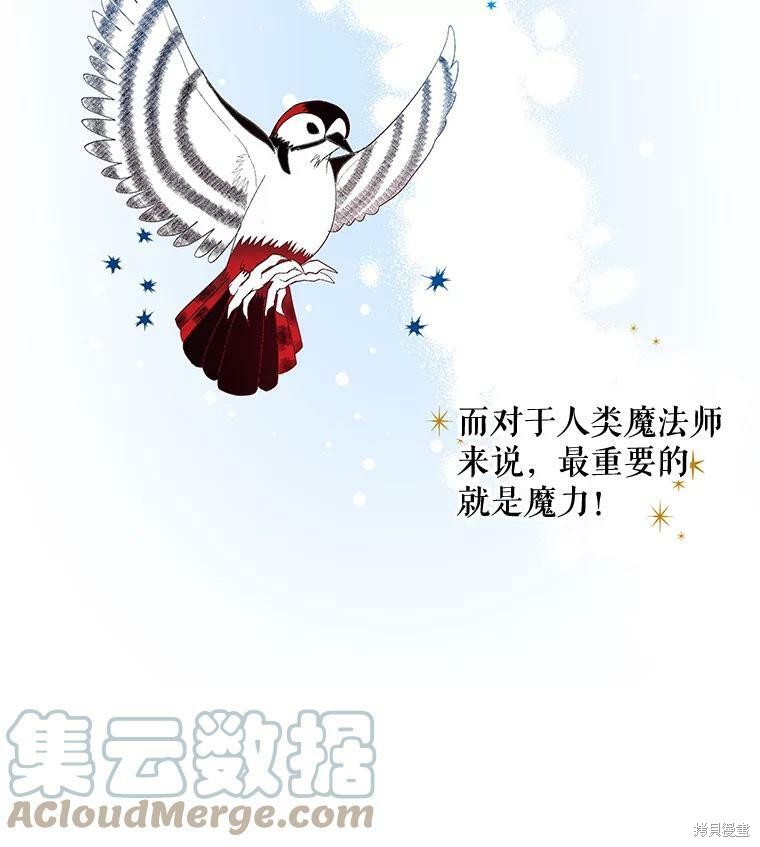 《大魔法师的女儿》漫画最新章节第20话免费下拉式在线观看章节第【52】张图片