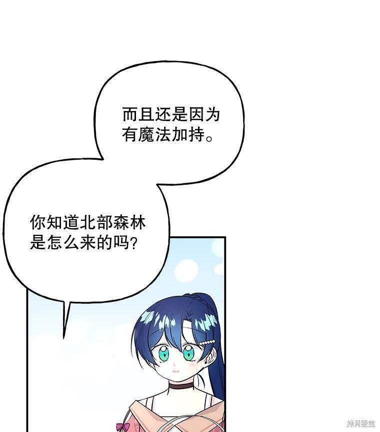 《大魔法师的女儿》漫画最新章节第63话免费下拉式在线观看章节第【39】张图片