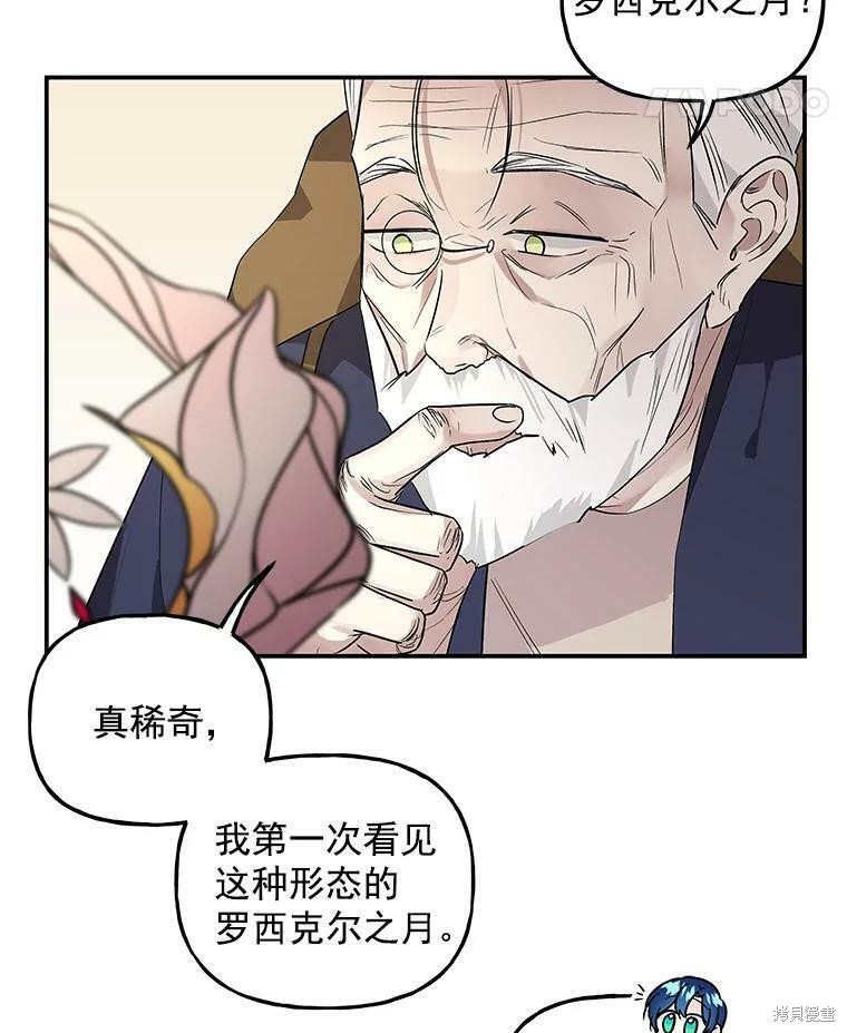 《大魔法师的女儿》漫画最新章节第45话免费下拉式在线观看章节第【40】张图片