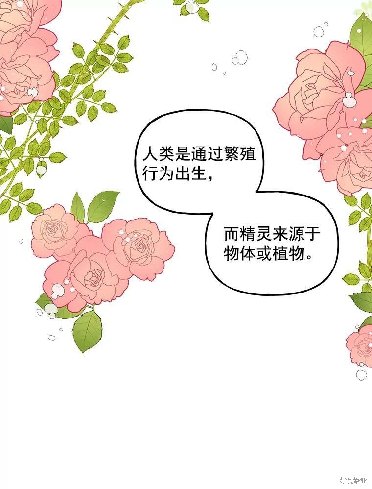 《大魔法师的女儿》漫画最新章节第22话免费下拉式在线观看章节第【37】张图片