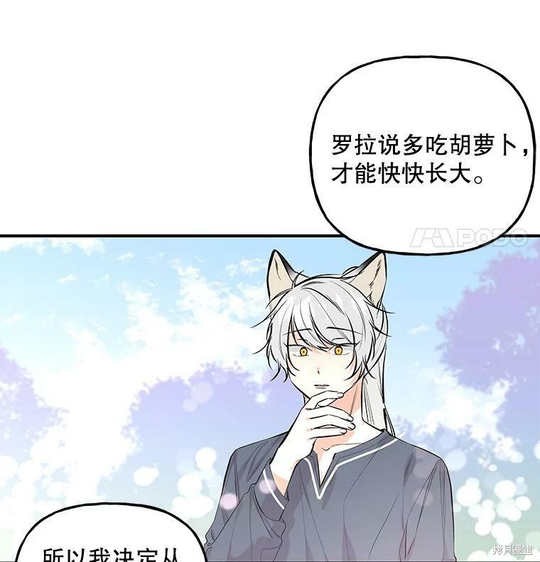 《大魔法师的女儿》漫画最新章节第57话免费下拉式在线观看章节第【41】张图片