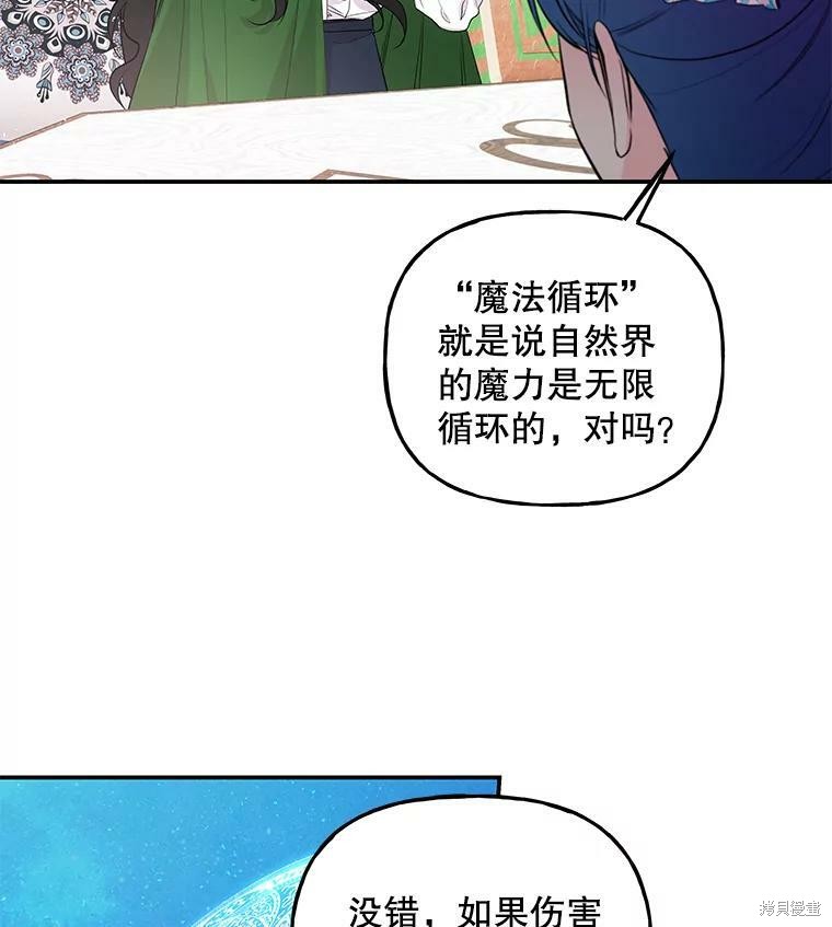 《大魔法师的女儿》漫画最新章节第62话免费下拉式在线观看章节第【46】张图片