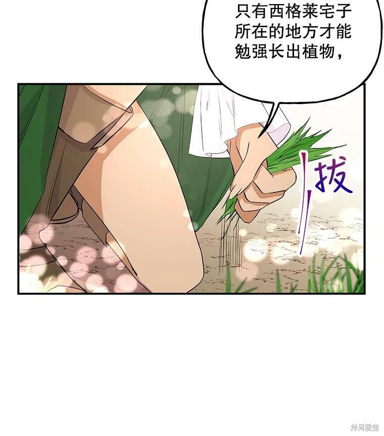 《大魔法师的女儿》漫画最新章节第63话免费下拉式在线观看章节第【38】张图片