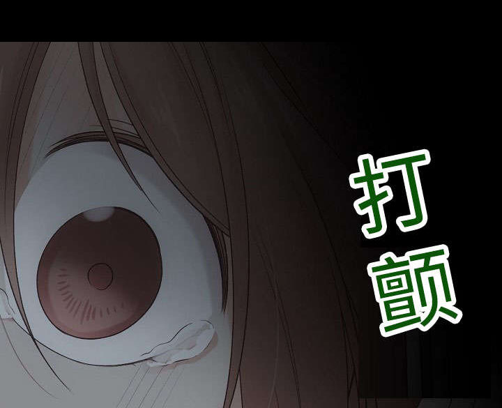 《完整版》漫画最新章节第17话免费下拉式在线观看章节第【51】张图片