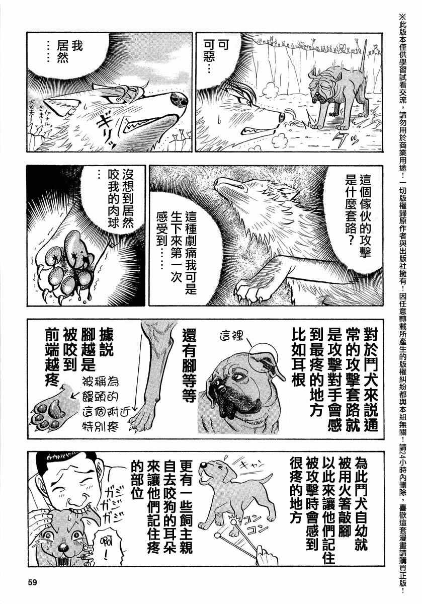 《真?异种格斗大战》漫画最新章节第38话免费下拉式在线观看章节第【5】张图片