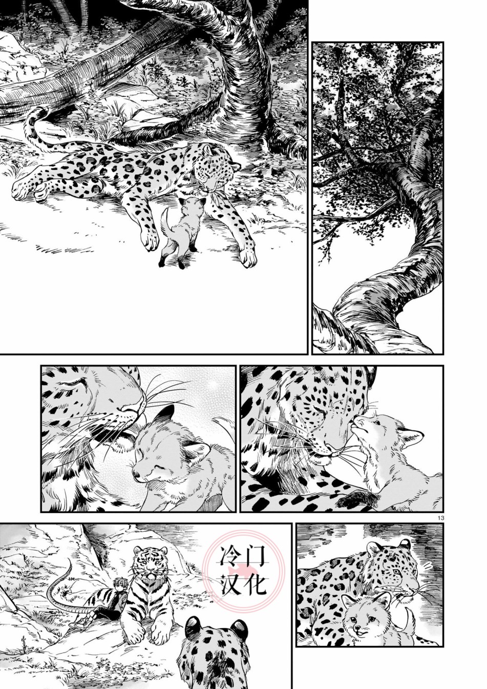 《龙是虎的储备粮》漫画最新章节第9话免费下拉式在线观看章节第【13】张图片