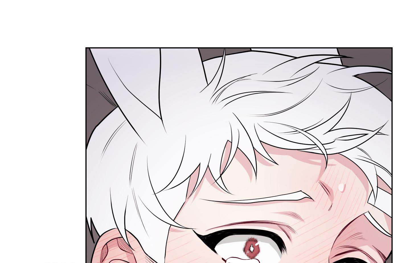 《兔耳惊喜》漫画最新章节第14话免费下拉式在线观看章节第【8】张图片