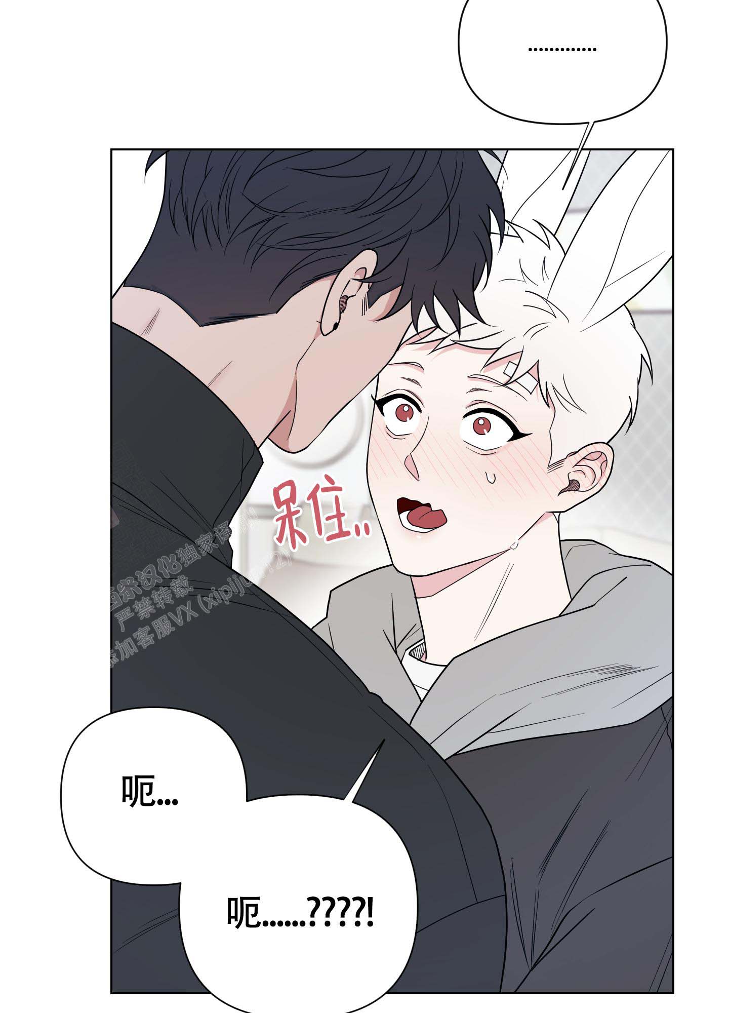 《兔耳惊喜》漫画最新章节第11话免费下拉式在线观看章节第【3】张图片